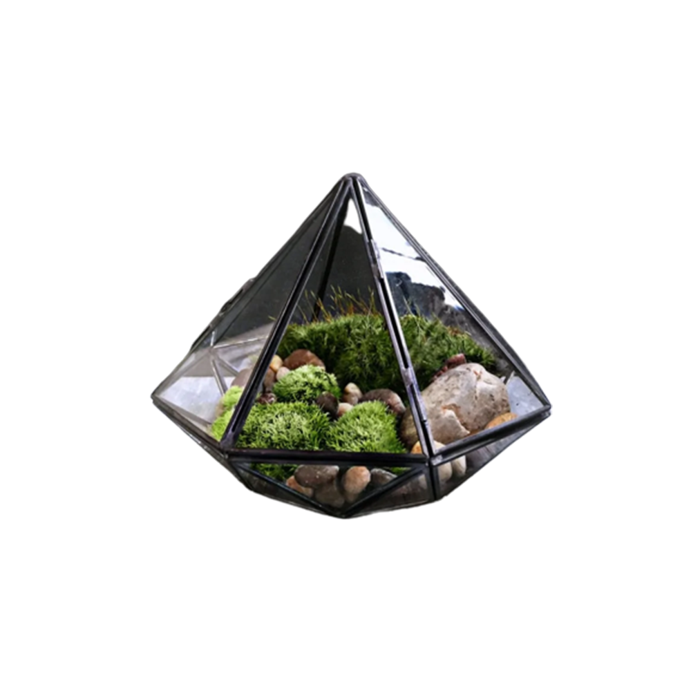 Glass Terrarium The Enchanted Emporium