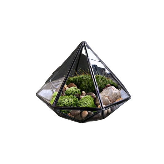 Glass Terrarium The Enchanted Emporium